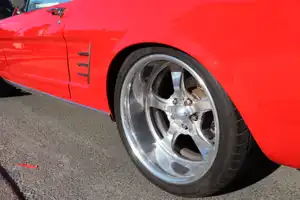 2025-06-22 La Perouse - IMG_2762_compressed_q50.webp